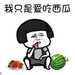 娱乐圈吃瓜的梗是什么,揭秘“吃瓜群众”背后的真相与笑料  第3张