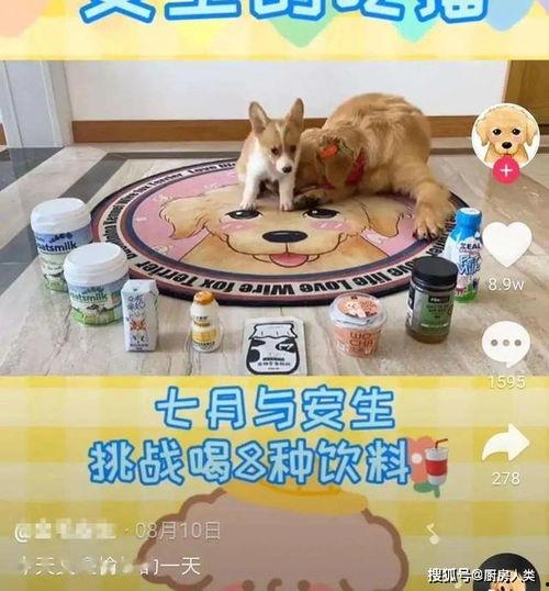 娱乐吃瓜酱外婆养大的羊羊视频,现实版外婆养大的女孩，温暖故事感动网友  第3张