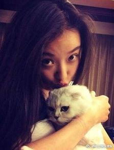 娱乐吃瓜酱虐猫博主小说,娱乐吃瓜酱的悬疑小说揭秘  第2张