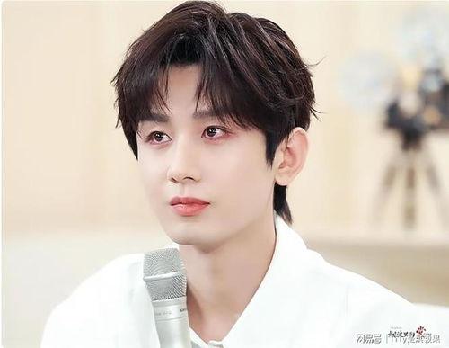 娱乐圈吃瓜成毅是谁主演,成毅主演作品引发关注  第2张