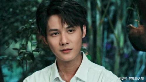娱乐圈吃瓜成毅是谁主演,成毅主演作品引发关注  第3张