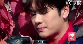吃瓜娱乐圈王嘉尔,瓜田里的娱乐圈明星  第3张