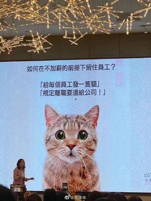 大懒猫娱乐八卦爆料吃瓜,娱乐圈最新八卦大揭秘！  第3张