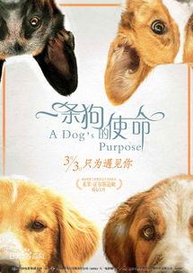 娱乐圈吃瓜小狗小说在线阅读,吃瓜小狗的甜蜜复仇之旅