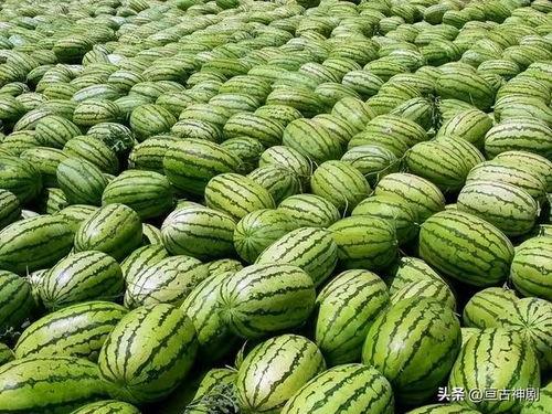 吃瓜娱乐圈素材哪里找,揭秘热门素材搜集秘籍  第3张