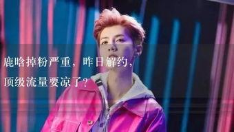 娱乐吃瓜酱你经历过,我的奇遇与感悟  第2张