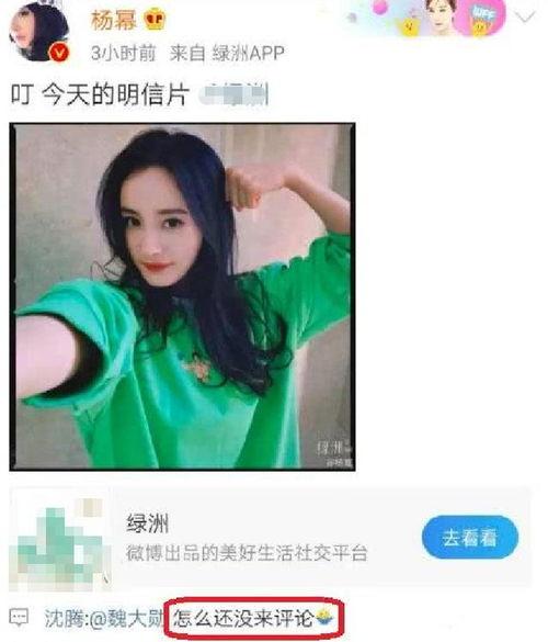 吃瓜八卦娱乐圈杨幂,瓜田李下,揭秘明星背后的故事 第2张 吃瓜八卦娱乐圈杨幂,瓜田李下,揭秘明星背后的故事 第2张