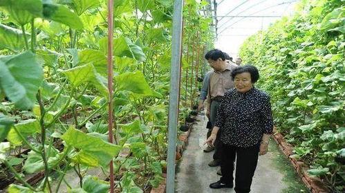 娱乐吃瓜蜀黍广告语是什么,揭秘娱乐圈那些事儿 第3张 娱乐吃瓜蜀黍广告语是什么,揭秘娱乐圈那些事儿 第3张