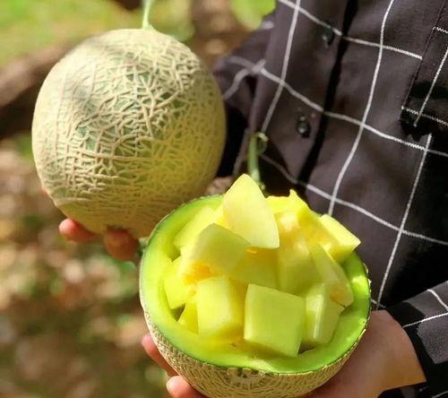 哪些地方可以娱乐圈吃瓜,揭秘明星幕后故事与热点事件 第2张 哪些地方可以娱乐圈吃瓜,揭秘明星幕后故事与热点事件 第2张