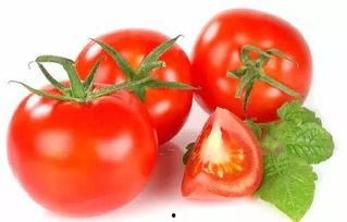 穿书去娱乐圈吃瓜番茄,番茄在娱乐圈的瓜田漫步 第2张 穿书去娱乐圈吃瓜番茄,番茄在娱乐圈的瓜田漫步 第2张