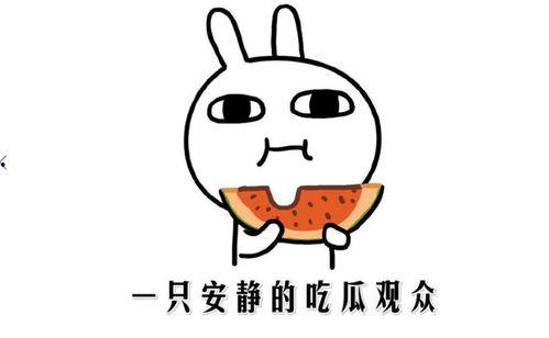 娱乐吃瓜的配音怎么做的,轻松驾驭热点话题  第2张