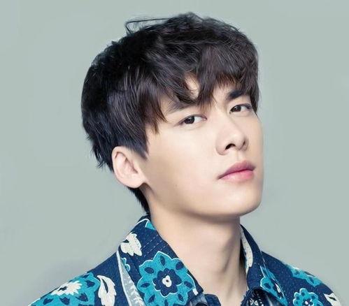 娱乐圈吃瓜李易峰是谁呀,揭秘李易峰的星光之路  第1张