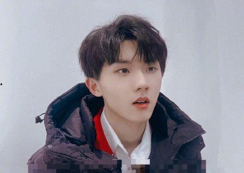 娱乐圈吃瓜马嘉祺是谁,吃瓜群众心中的谜团揭晓  第2张