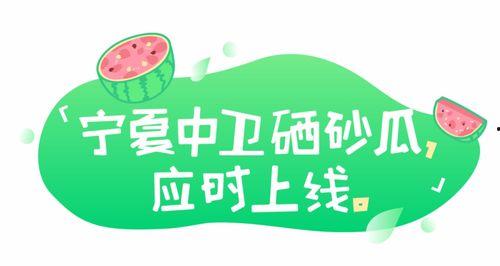 娱乐吃瓜文案去哪里找啊,热门平台攻略一览  第3张