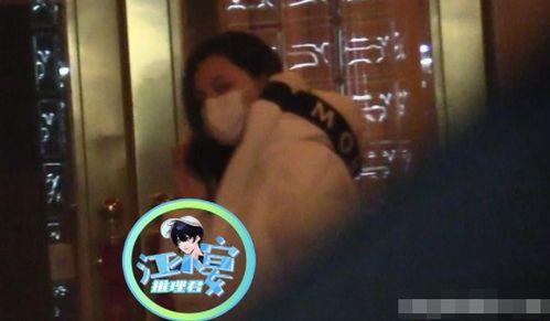 娱乐吃瓜 汪小菲是谁啊,汪小菲的星光之路与吃瓜热议  第3张